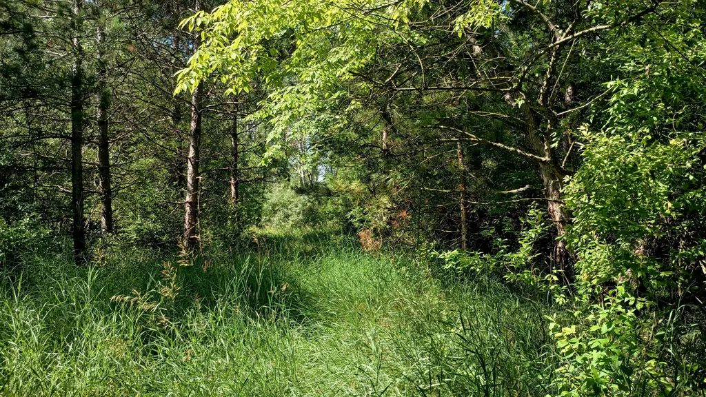301 S Gordon Road Amber Township MI 49454