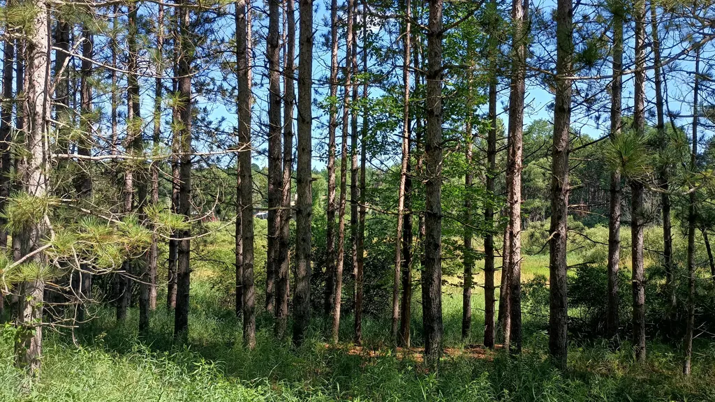 301 S Gordon Road Amber Township MI 49454