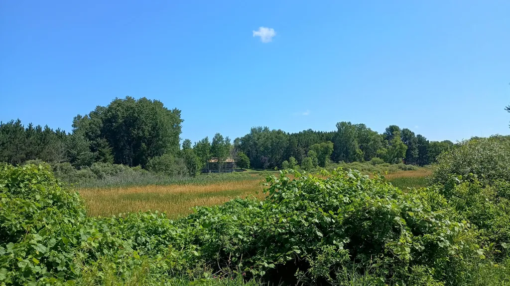 301 S Gordon Road Amber Township MI 49454