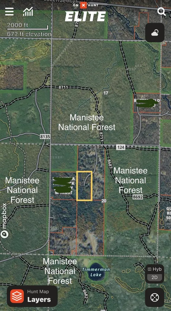 13325 W Pine Lake Road Norman Township MI 49660