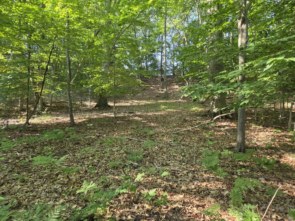 1824 S Pere Marquette Highway Pere Marquette Charter Township MI 49431