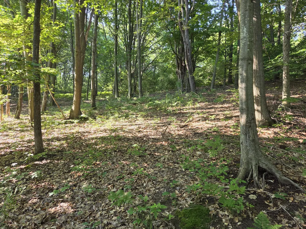 1824 S Pere Marquette Highway Pere Marquette Charter Township MI 49431