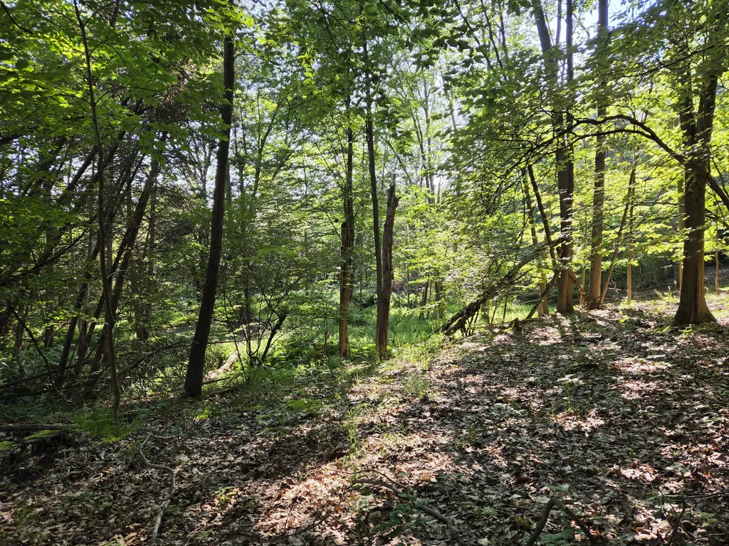1824 S Pere Marquette Highway Pere Marquette Charter Township MI 49431