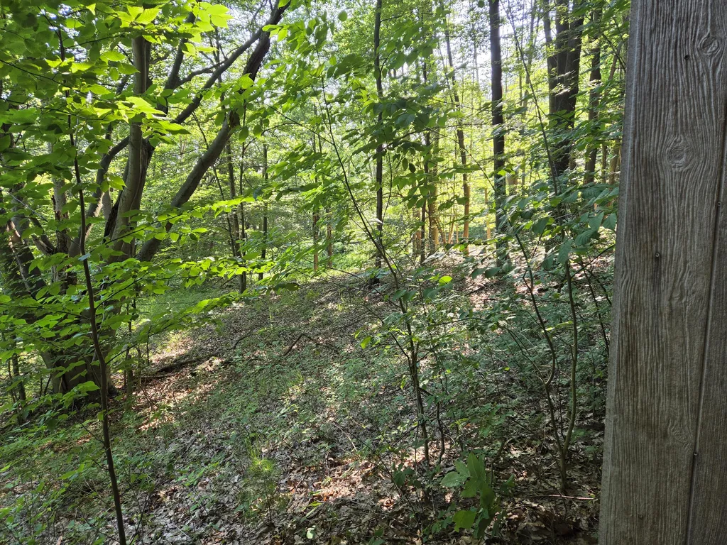 1824 S Pere Marquette Highway Pere Marquette Charter Township MI 49431