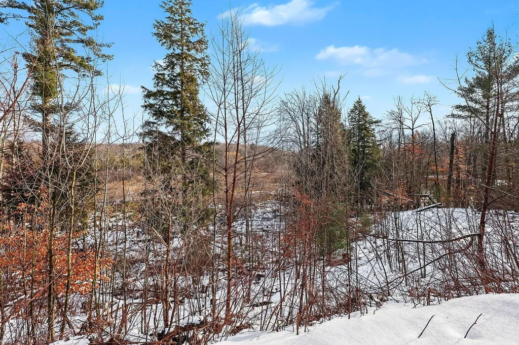7364 N Northern Drive Weare Township MI 49449