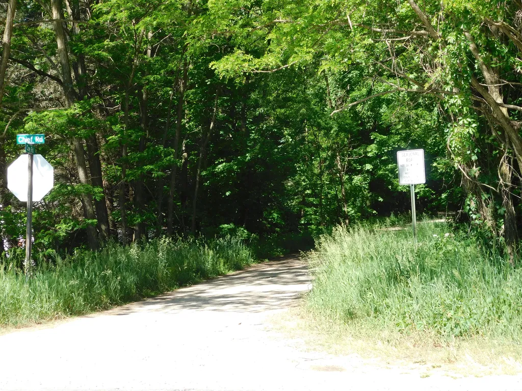7378 Chief Road Bear Lake Township MI 49614