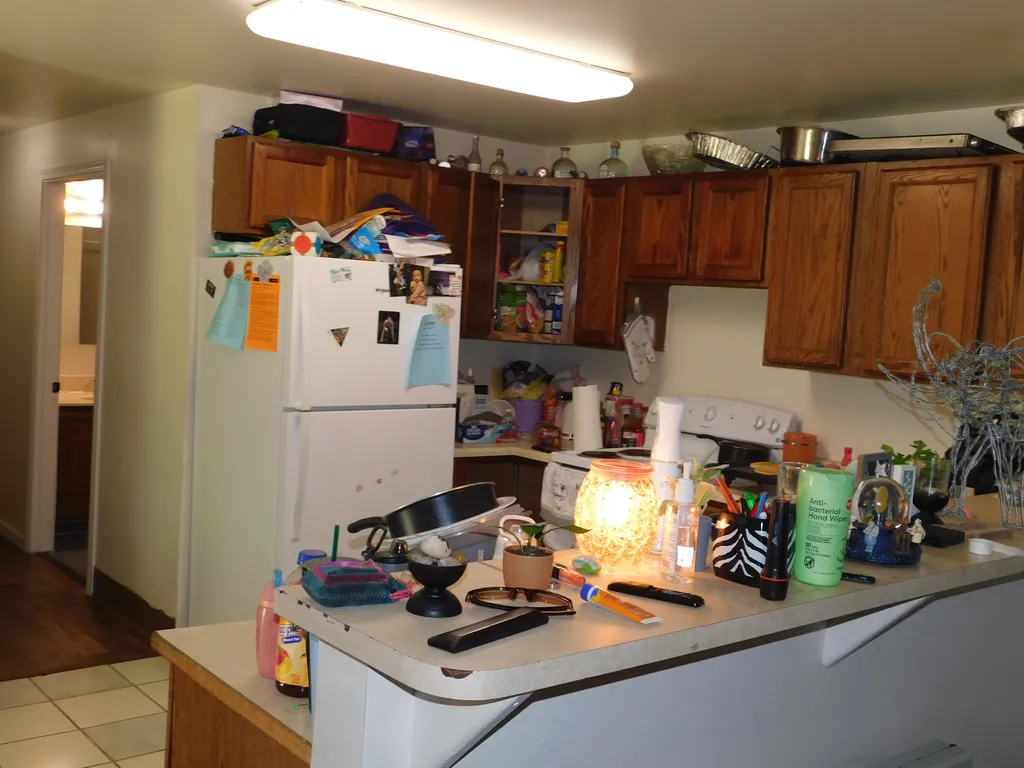 7378 Chief Road Bear Lake Township MI 49614
