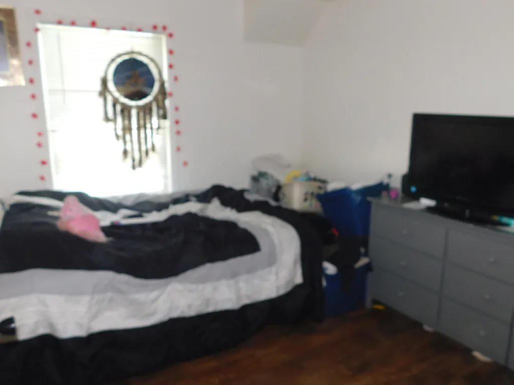7378 Chief Road Bear Lake Township MI 49614