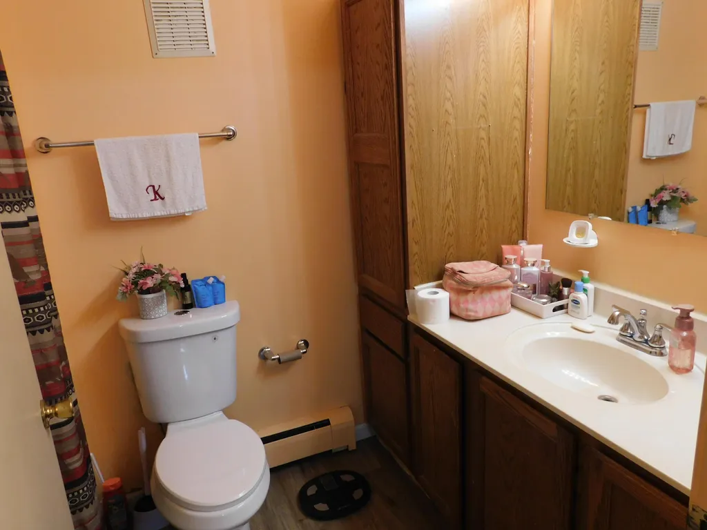 7378 Chief Road Bear Lake Township MI 49614