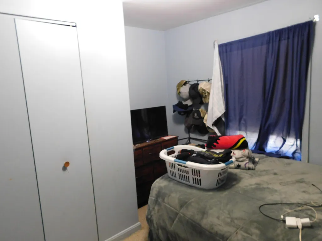 7378 Chief Road Bear Lake Township MI 49614