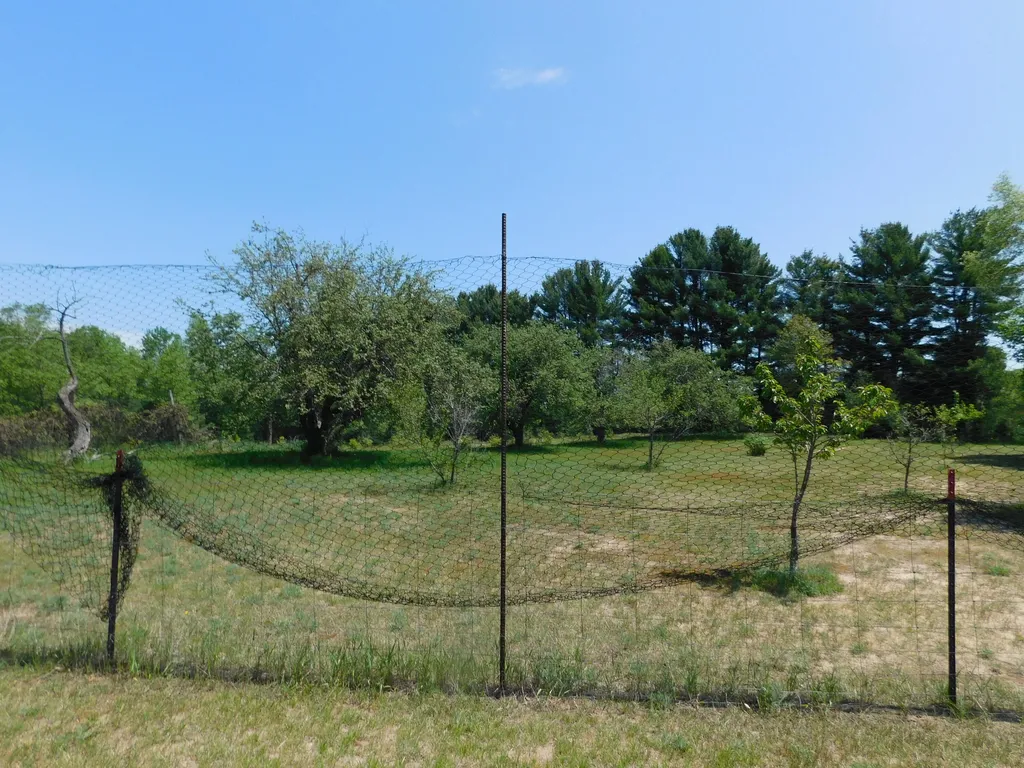 14200 Plagany Road Springdale Township MI 49614