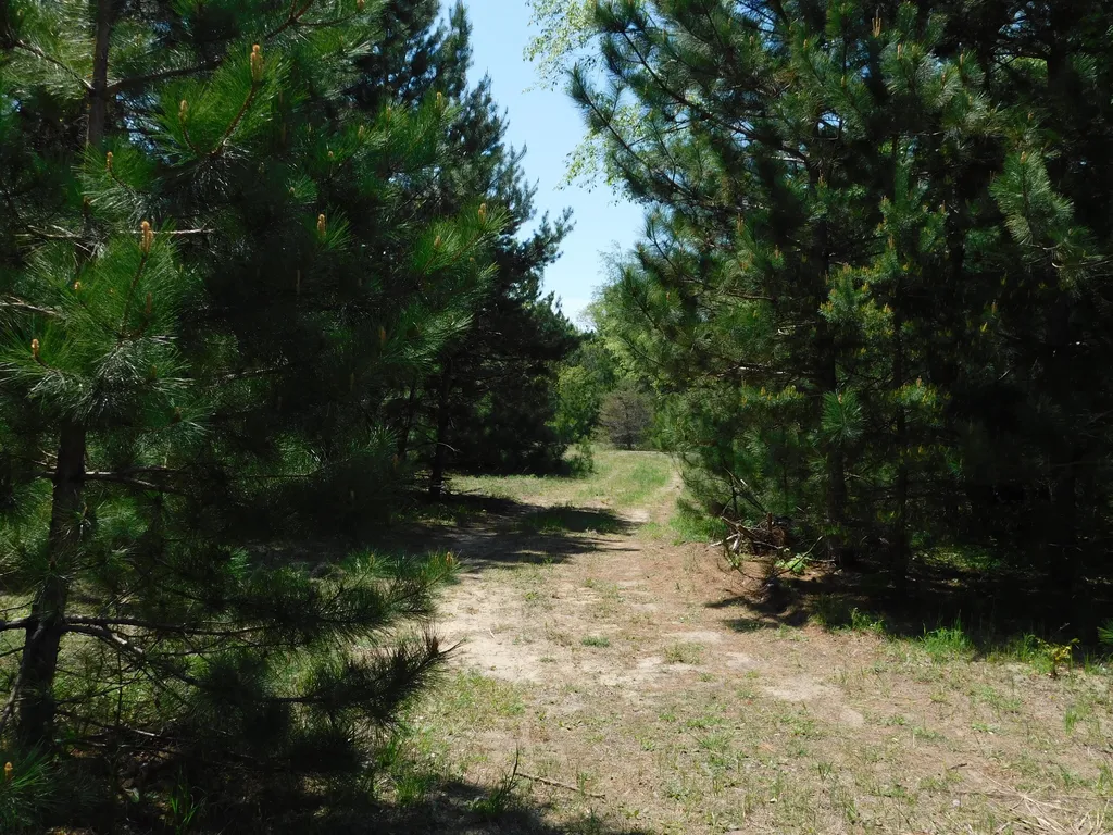 14200 Plagany Road Springdale Township MI 49614