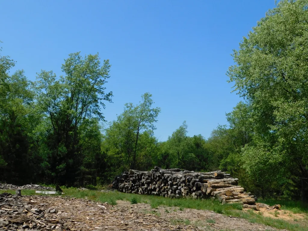 14200 Plagany Road Springdale Township MI 49614