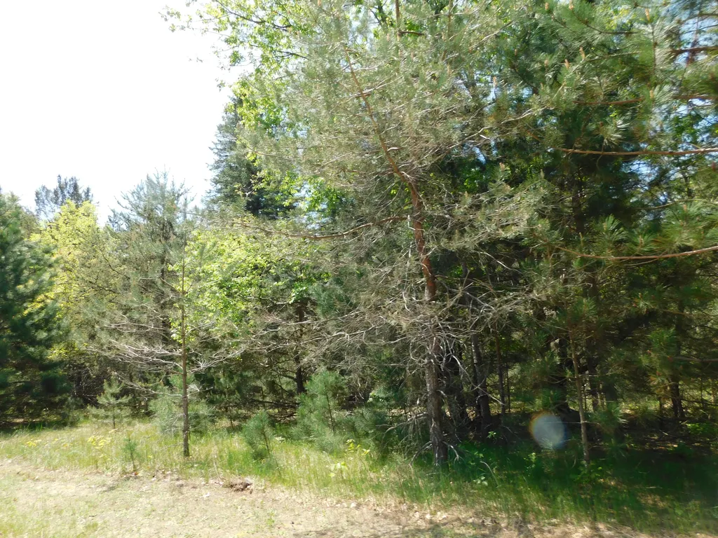 14200 Plagany Road Springdale Township MI 49614
