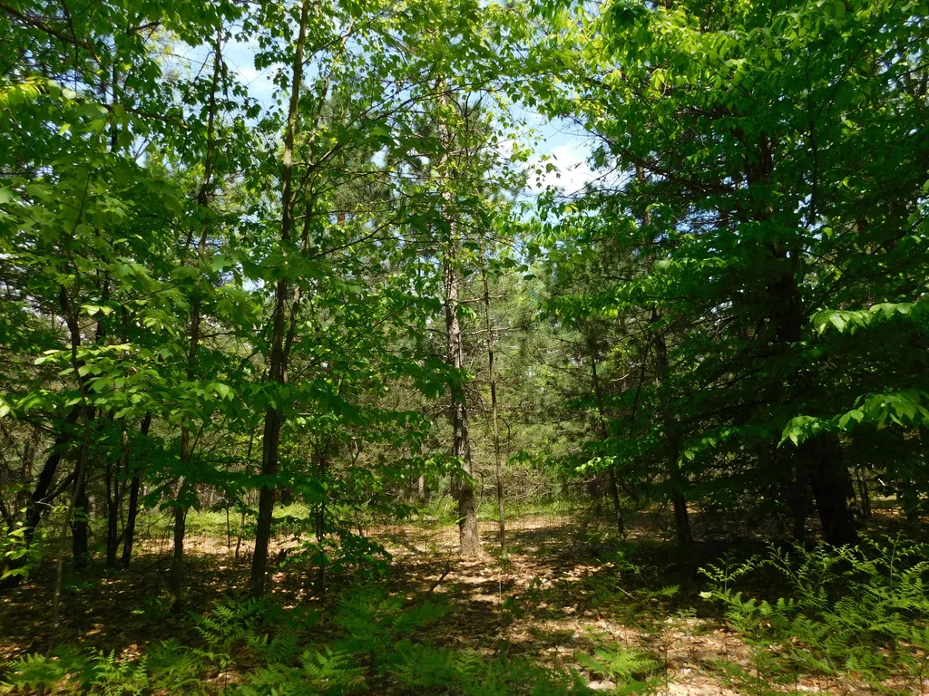14200 Plagany Road Springdale Township MI 49614