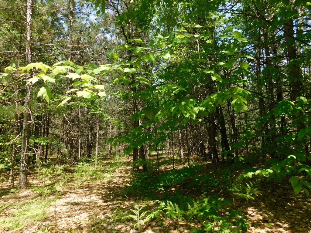 14200 Plagany Road Springdale Township MI 49614