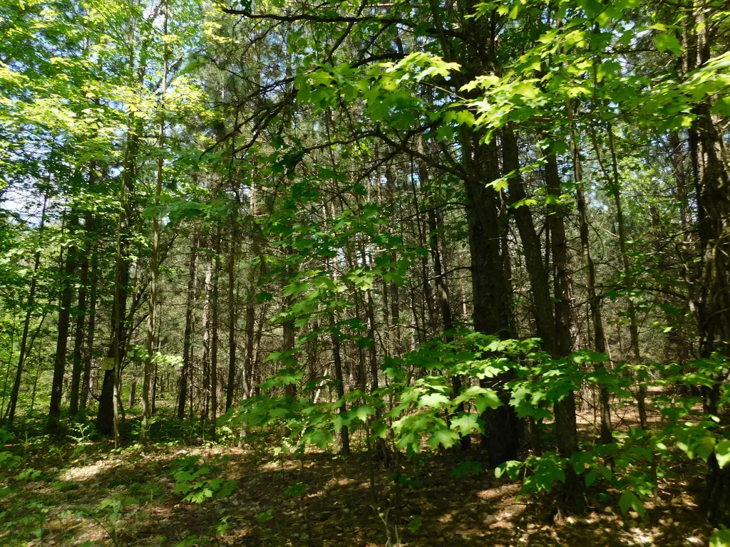 14200 Plagany Road Springdale Township MI 49614