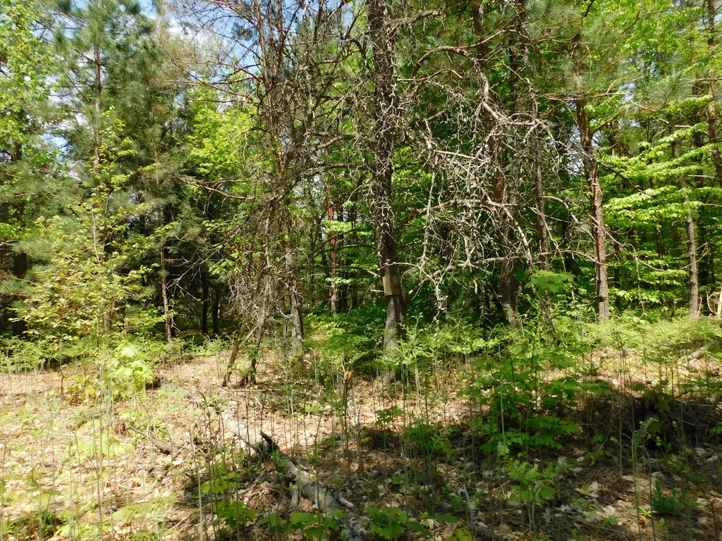 14200 Plagany Road Springdale Township MI 49614