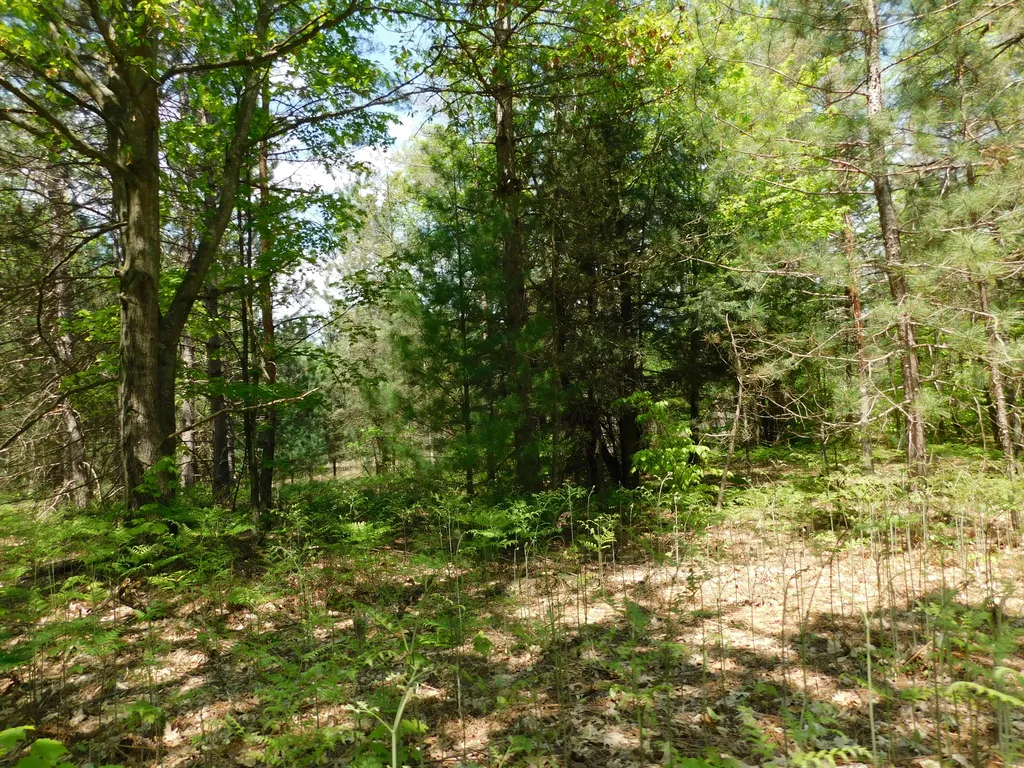 14200 Plagany Road Springdale Township MI 49614