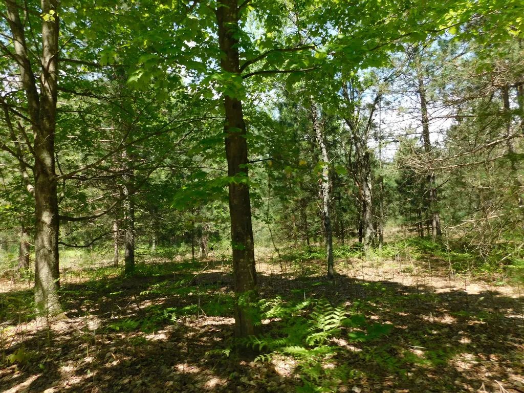 14200 Plagany Road Springdale Township MI 49614
