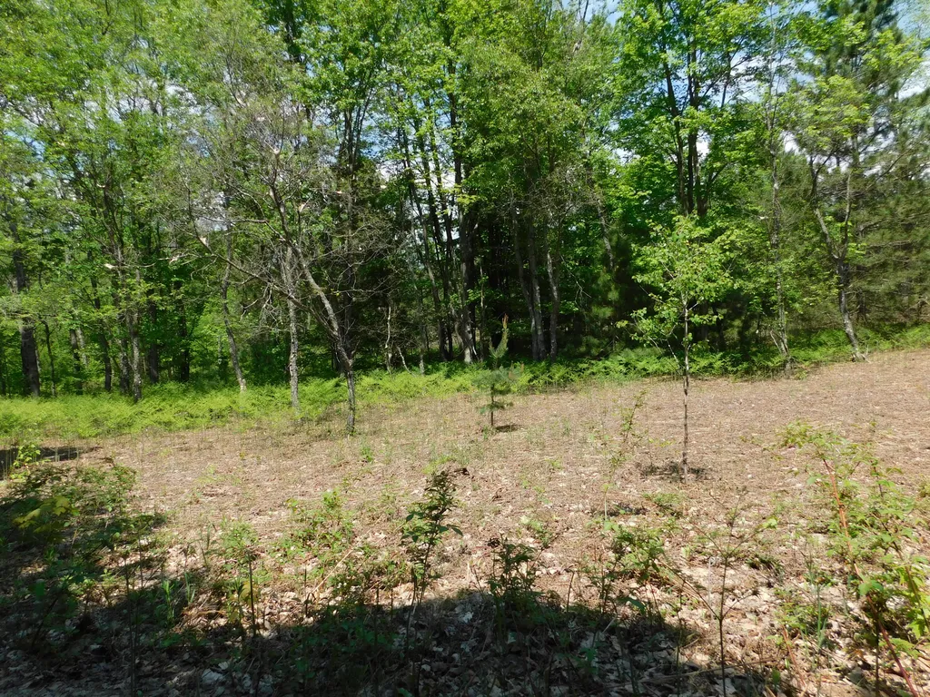14200 Plagany Road Springdale Township MI 49614
