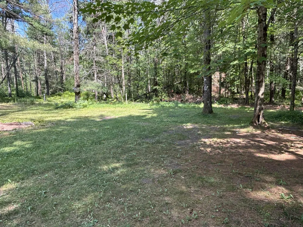 2594 S Forman Road Unknown City MI 49304
