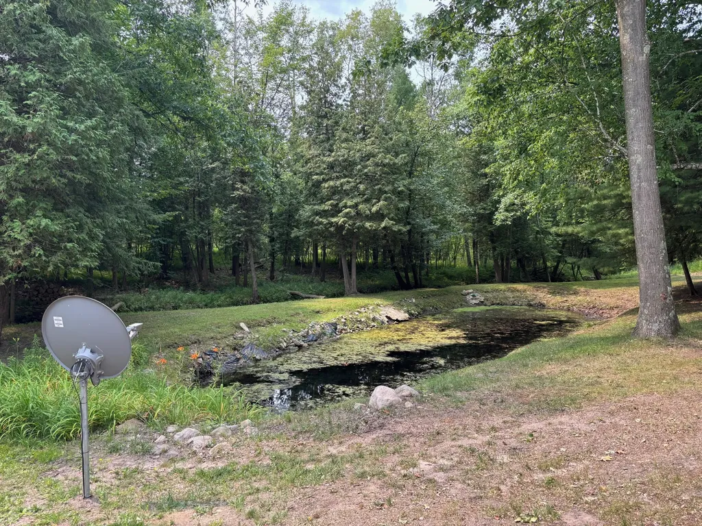 1965 E Hammett Road Crystal Township MI 49420