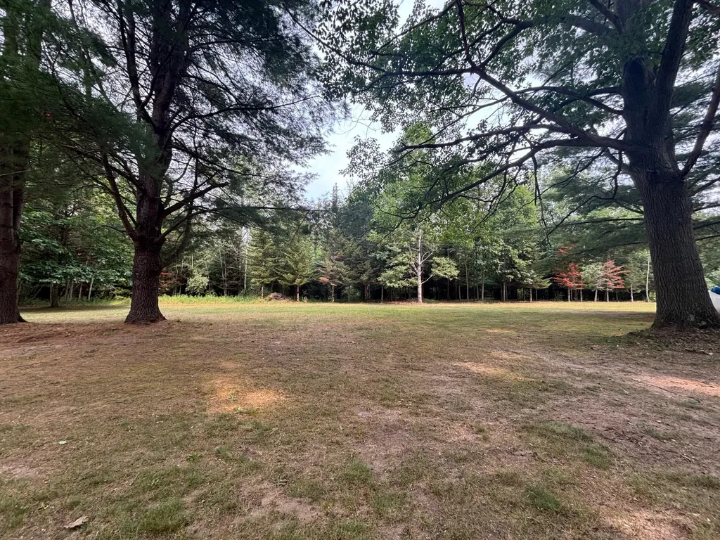 1965 E Hammett Road Crystal Township MI 49420