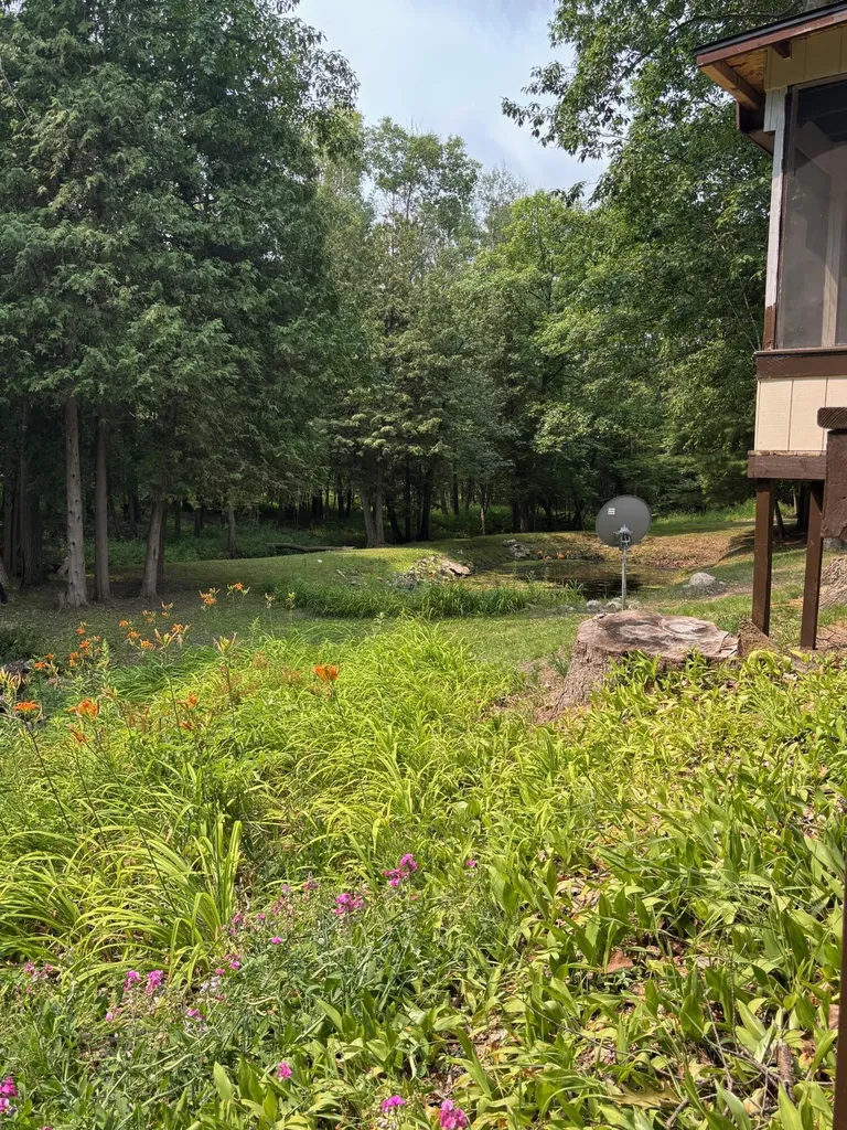1965 E Hammett Road Crystal Township MI 49420