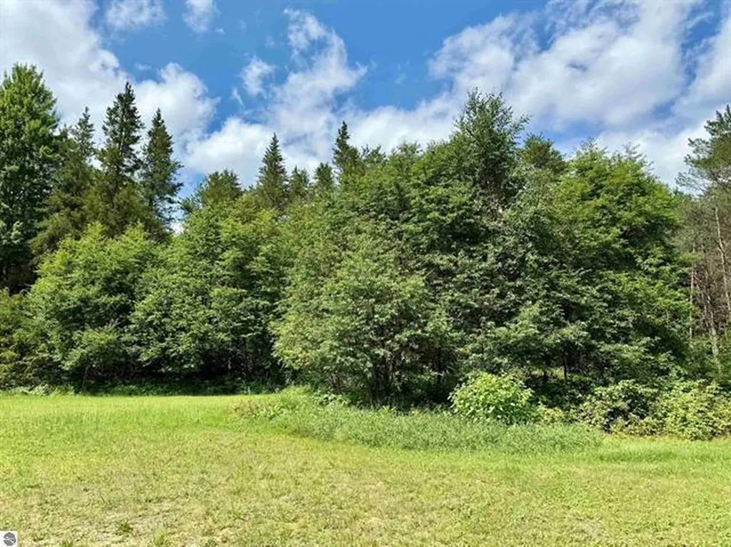 2035/2085 S 33 1/2 Road Selma Township MI 49601