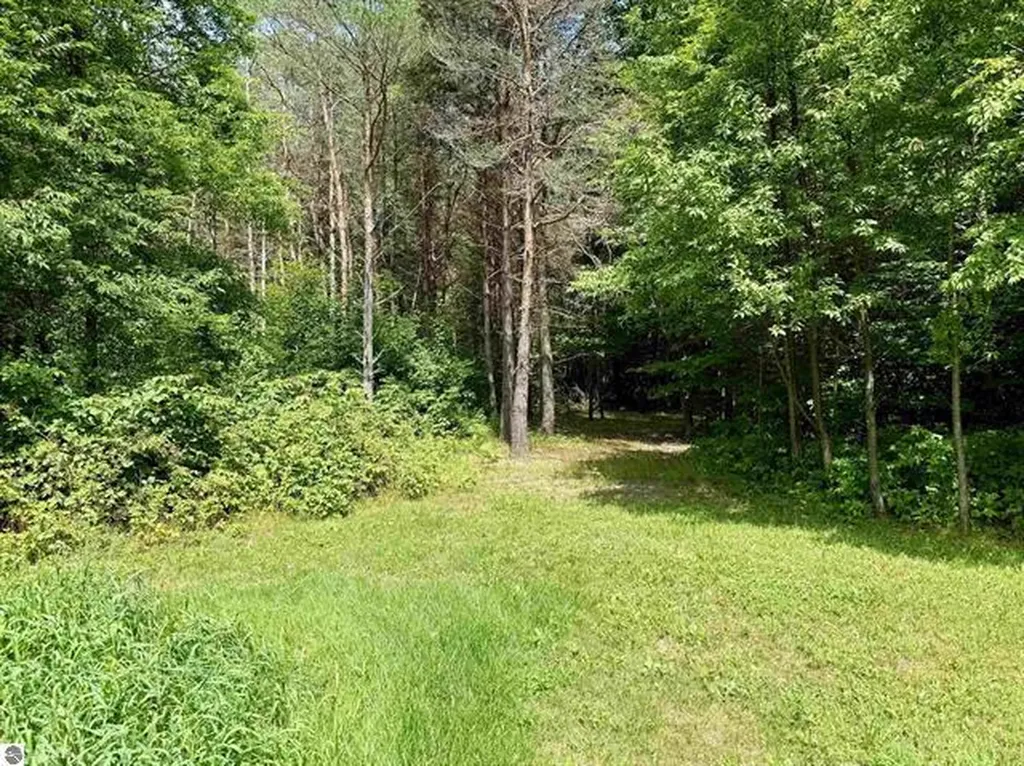 2035/2085 S 33 1/2 Road Selma Township MI 49601