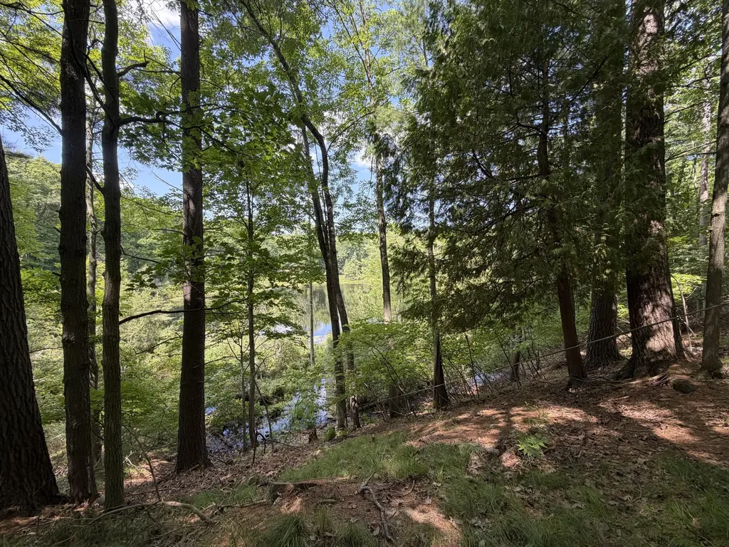 8316 N Aqua Drive Elk Township MI 49644
