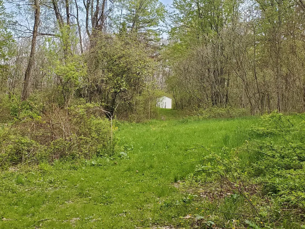 1707 W Bristol Road Barry Township MI 49046