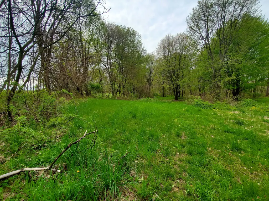 1707 W Bristol Road Barry Township MI 49046