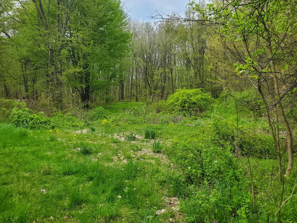 1707 W Bristol Road Barry Township MI 49046