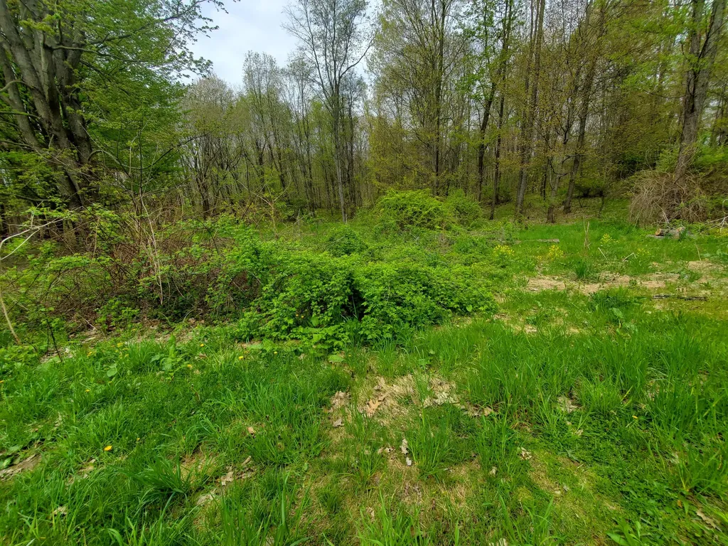 1707 W Bristol Road Barry Township MI 49046