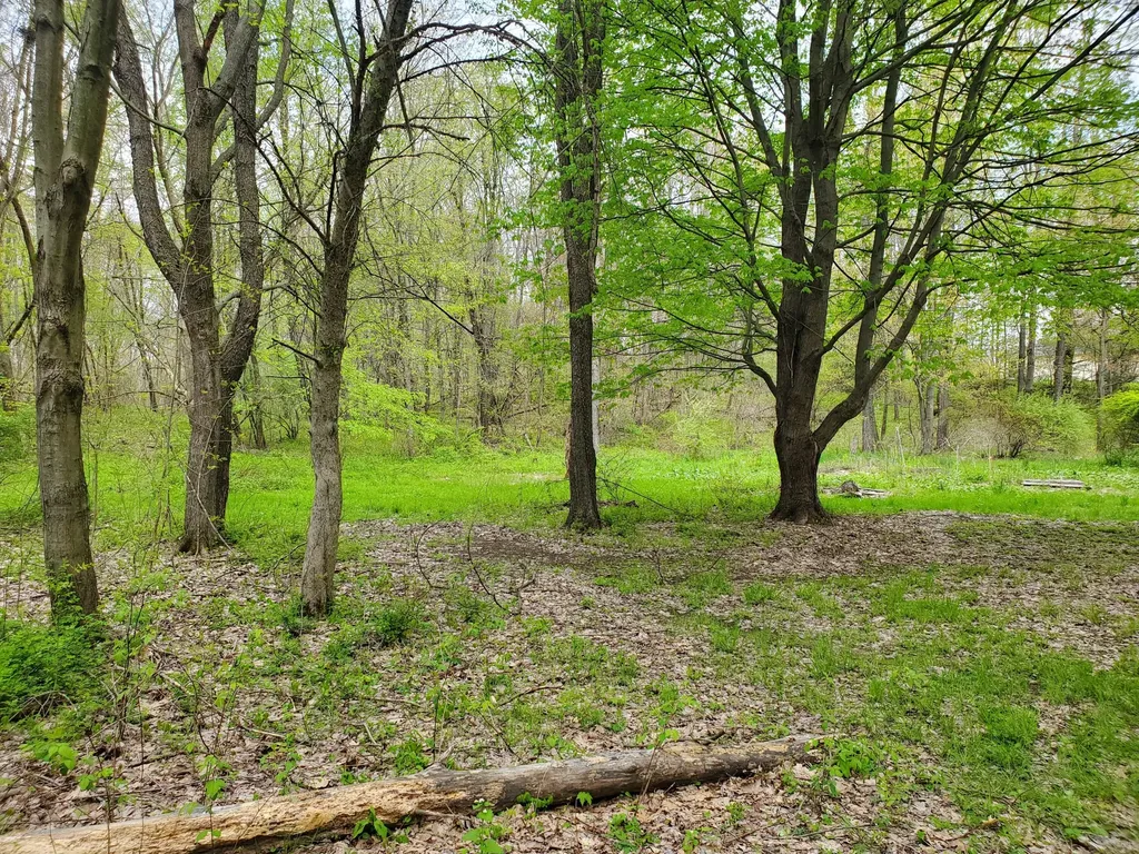 1707 W Bristol Road Barry Township MI 49046