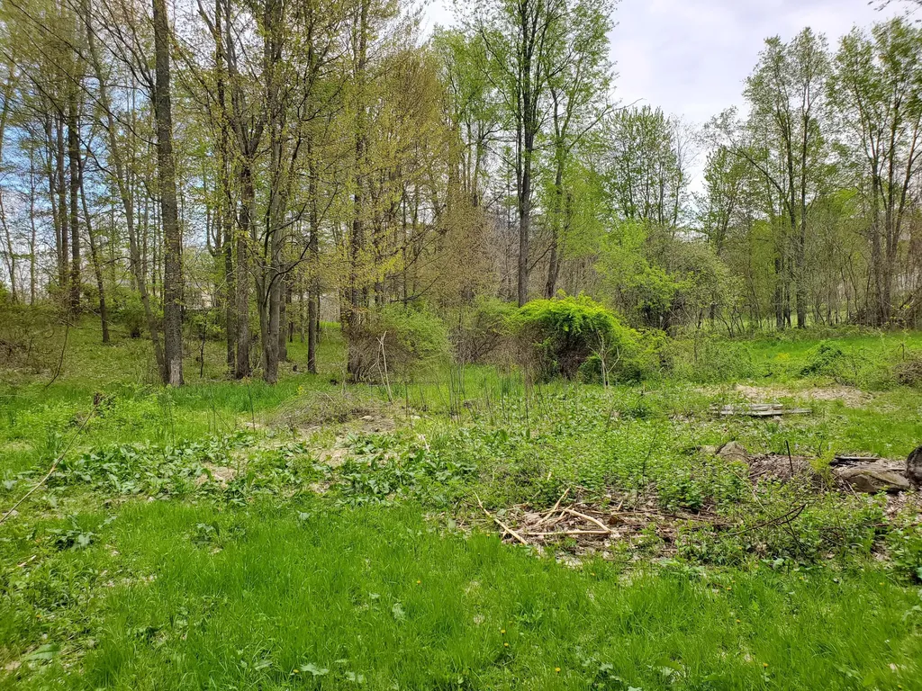 1707 W Bristol Road Barry Township MI 49046