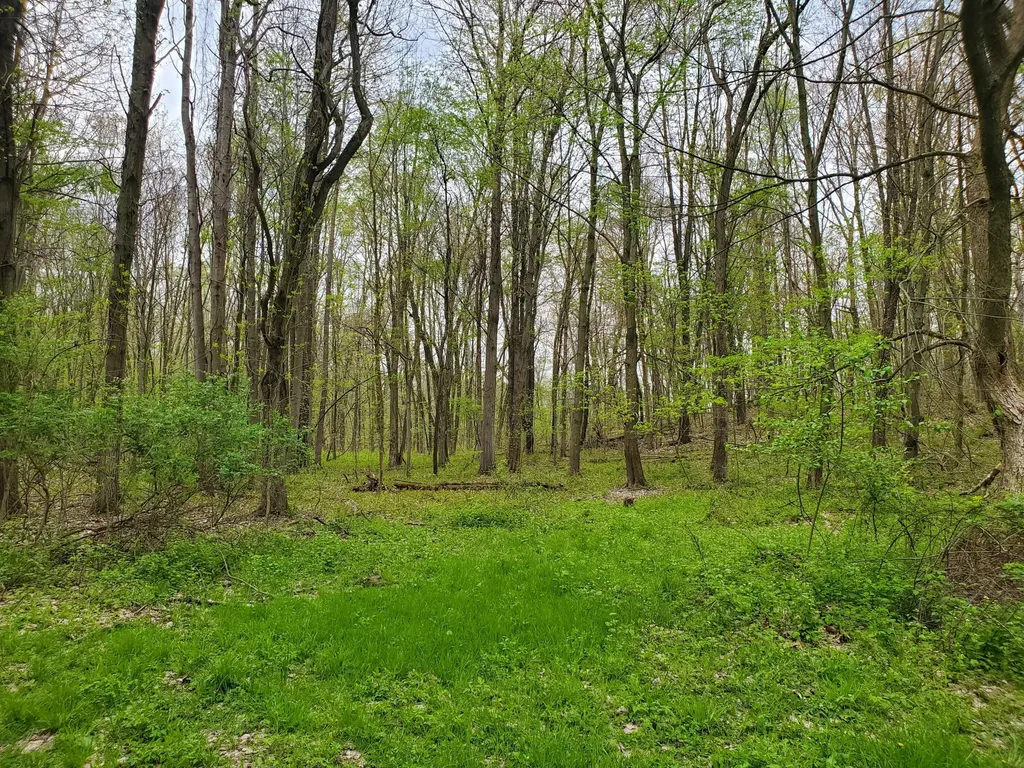 1707 W Bristol Road Barry Township MI 49046