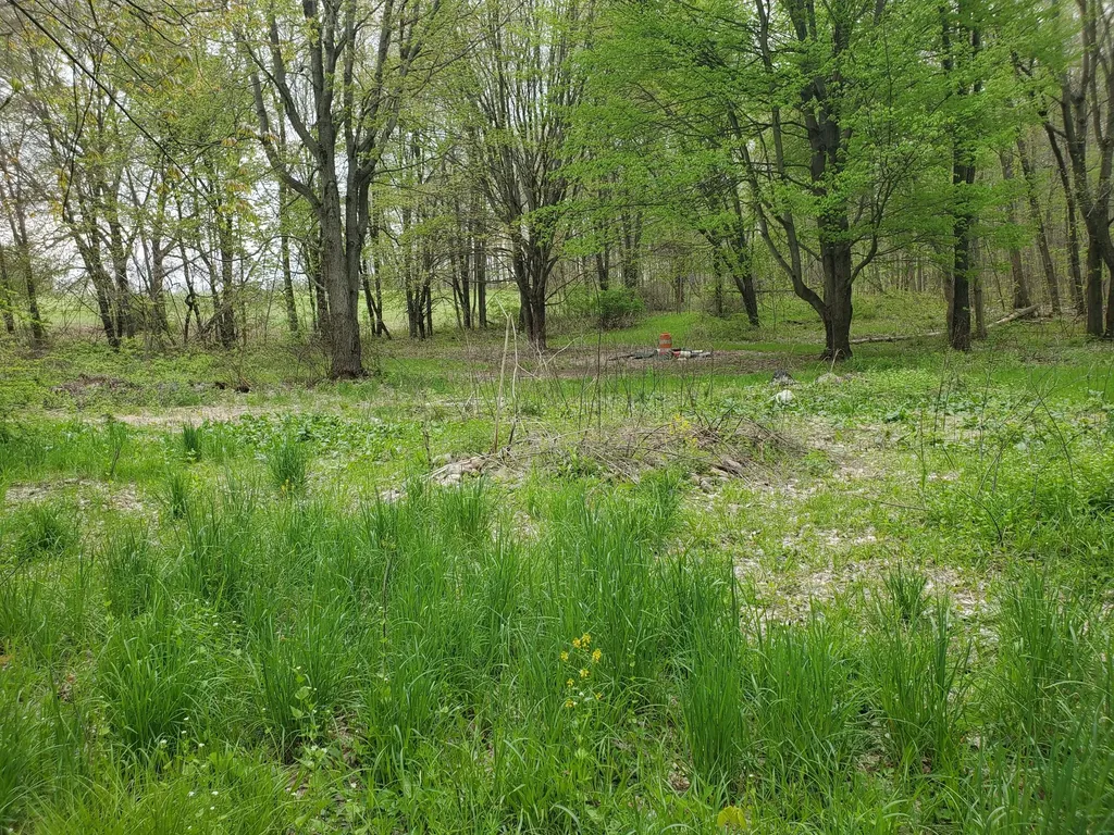 1707 W Bristol Road Barry Township MI 49046