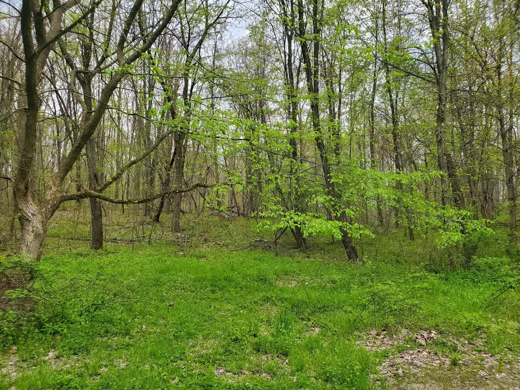 1707 W Bristol Road Barry Township MI 49046