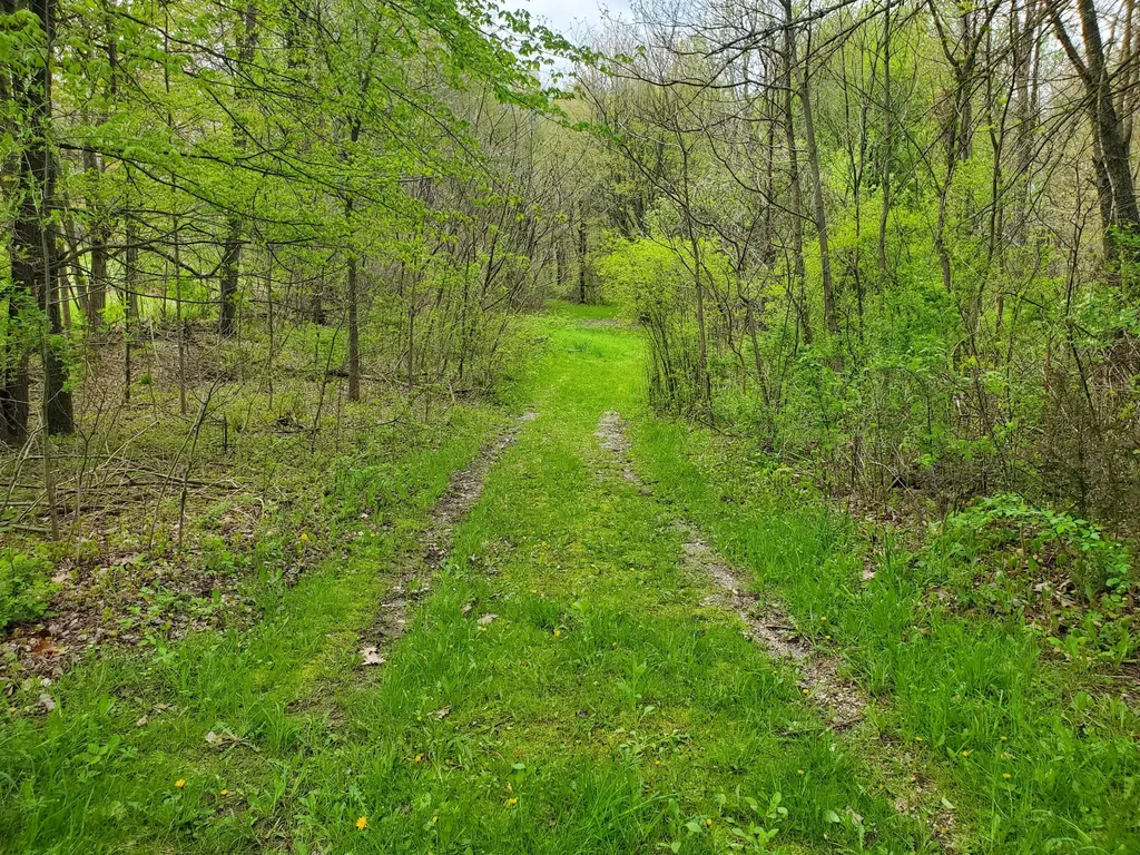 1707 W Bristol Road Barry Township MI 49046