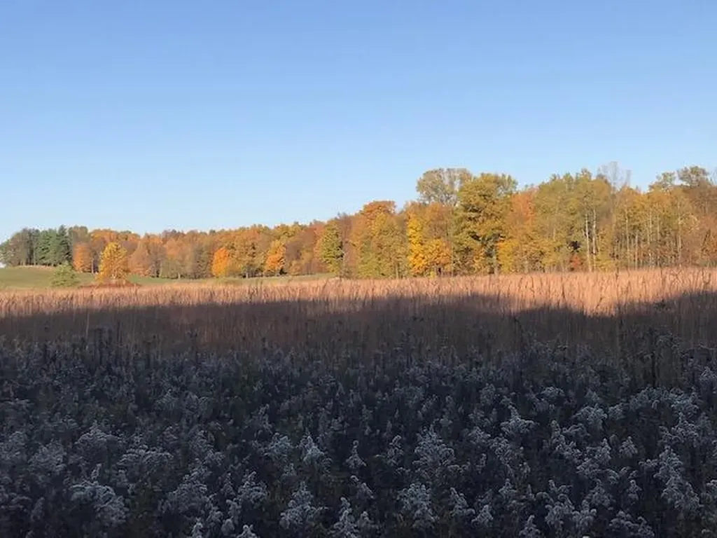 2255 River Road Hastings Charter Township MI 49058