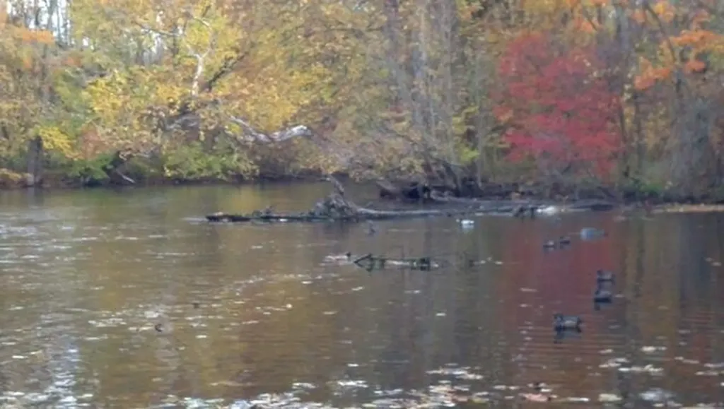2255 River Road Hastings Charter Township MI 49058