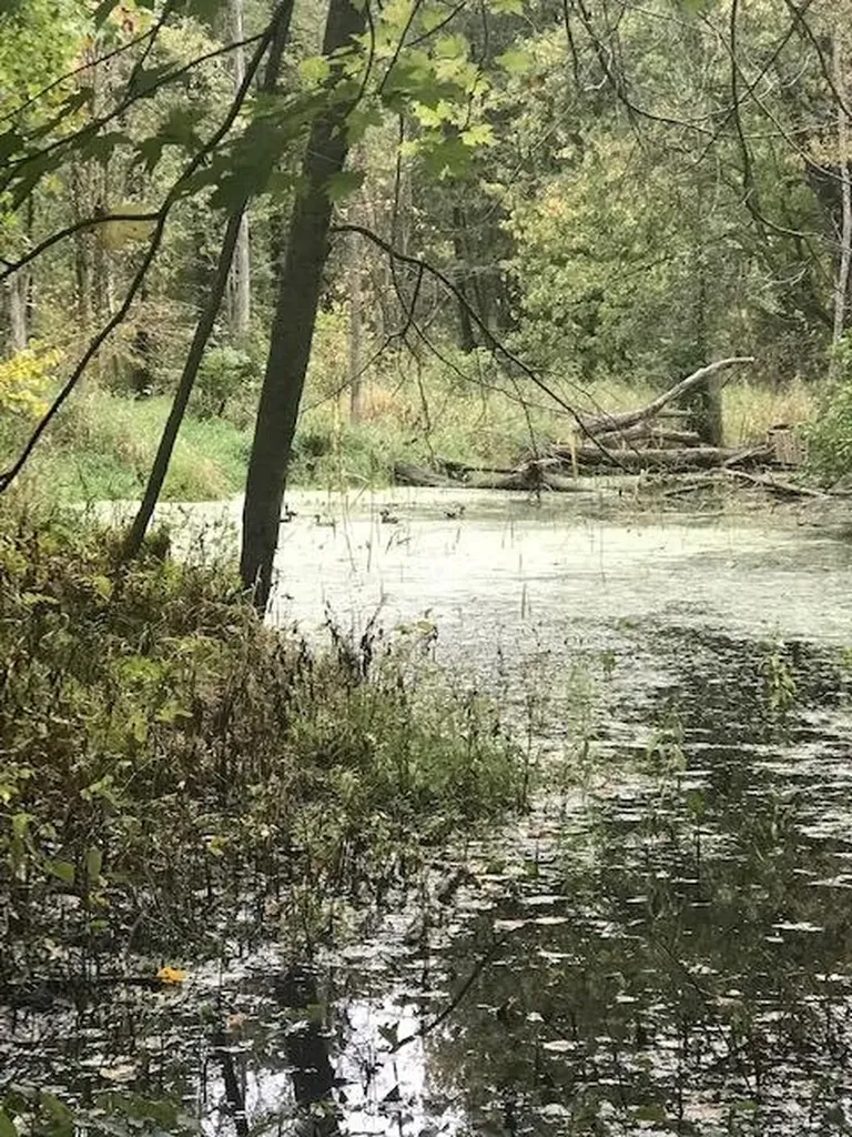 2255 River Road Hastings Charter Township MI 49058