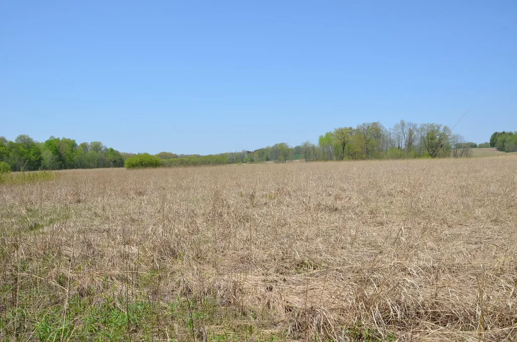 2255 River Road Hastings Charter Township MI 49058