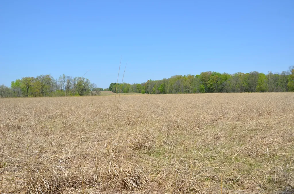 2255 River Road Hastings Charter Township MI 49058