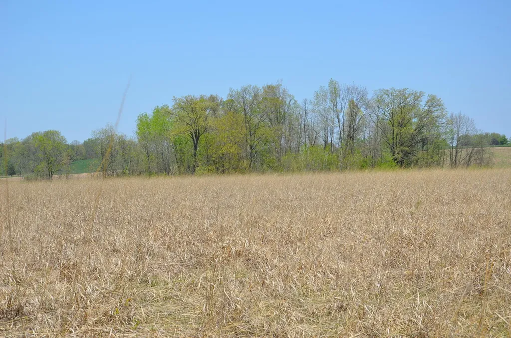 2255 River Road Hastings Charter Township MI 49058