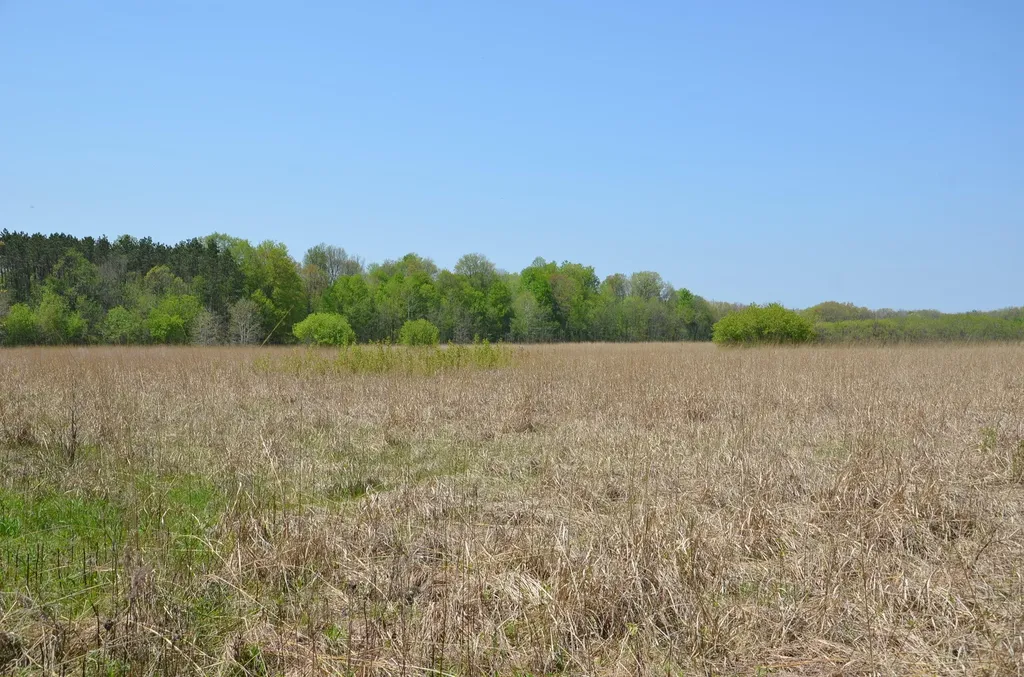 2255 River Road Hastings Charter Township MI 49058