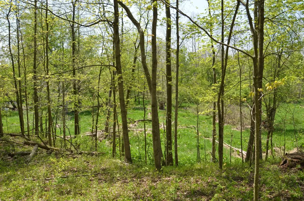 2255 River Road Hastings Charter Township MI 49058